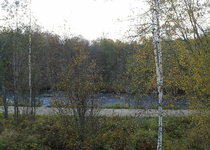 Pihlajamaeen Lomamoekit